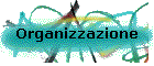 Organizzazione